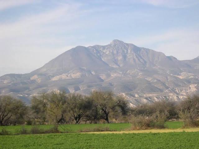 Tradición T'AS-ADOR
